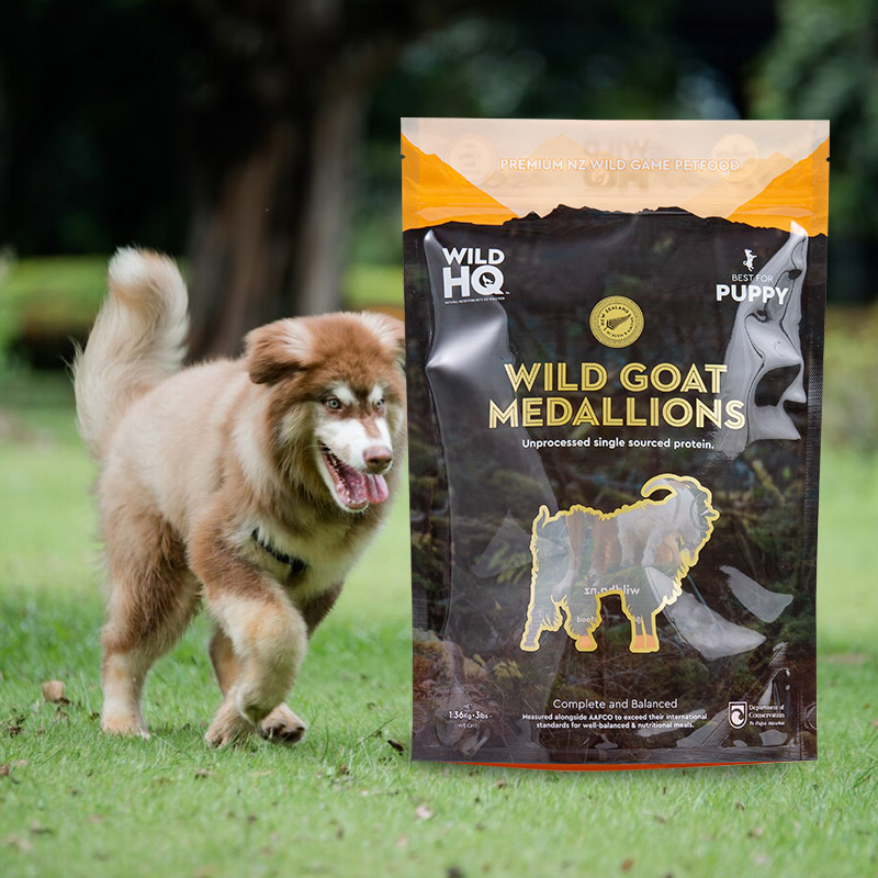 1-5kg Stand Up Pouch Bag for Dog Treat